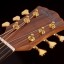 Washburn S24S Bella Tono Elegante Pau Ferro/Spruce Acoustic Orchestra Guitar