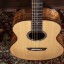 Washburn S24S Bella Tono Elegante Pau Ferro/Spruce Acoustic Orchestra Guitar