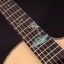 Washburn Bella Tono Allure SC56S Cutaway Bevel & Inlay Electro Acoustic Guitar