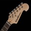 Washburn Sonamaster Deluxe SDFSB Sunburst Flamed Maple Top Stratocaster