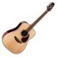 Takamine FT340 BS Japan Limited Edition Dreadnought Burled Sapele/Solid Spruce Electro Acoustic