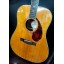 Fender Paramount PM-1E Deluxe Electro Acoustic Dreadought With Fender Hard Case 2016