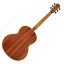 Lowden F-35 AAAA Sitka Spruce Top & AAAA Cocobolo Back & Sides