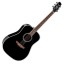 Takamine FT341 Dreadnought Gloss Black Electro Acoustic Guitar Made in Japan Limited Stock!