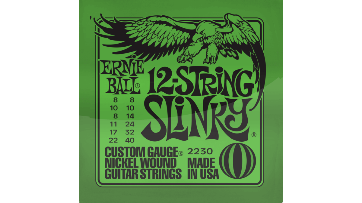 Ernie Ball 12 String Slinky 8 40 Custom Gauge Nickel Would