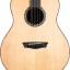 Washburn S24S Bella Tono Elegante Pau Ferro/Spruce Acoustic Orchestra Guitar